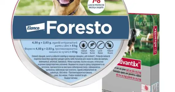 Pachet zgarda Foresto L (70 cm) + Advantix 250 (10-25 kg) Chilipir